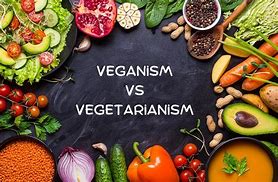 Image result for Vegan vs Vegitartian