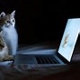 Image result for Galaxy Cat Unicorn