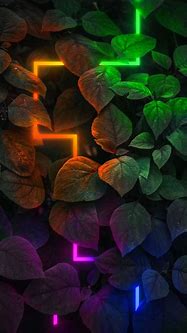 Image result for Neon iPhone Wallpaper Nature