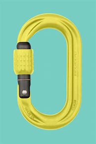 Image result for Screw Lock Carabiner