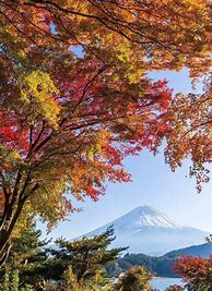 Image result for Japan Autumn Season
