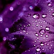 Image result for Dynamic Wallpaper iPad Purple