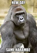 Image result for Harambe Chocolate Meme