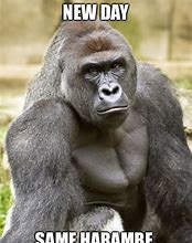 Image result for Funny Harambe Memes