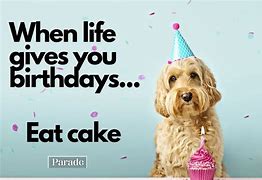 Image result for Funny Birthday Memes for Her