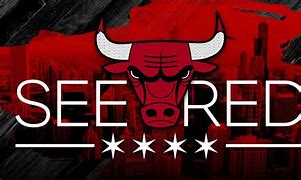 Image result for Chicago Bulls Red