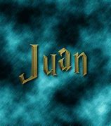 Image result for Juan Piece Logo