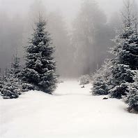 Image result for Winter Background Wallpaper iPad