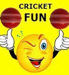 Image result for Cricket Craft Machine Ideas