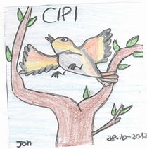 Image result for cipi