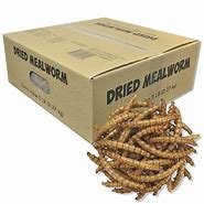 Image result for Dried Mealworms 5 Lb Bag