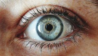 Image result for Cyan Gray Eyes