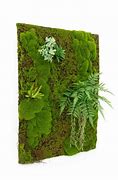 Image result for Artificial Moss Rock Wall Panels