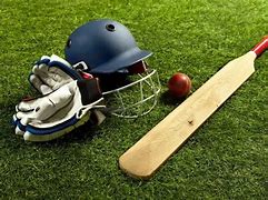 Image result for Cricket Stock Images. Free