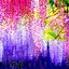 Image result for Colorful Landscape iPhone Wallpaper