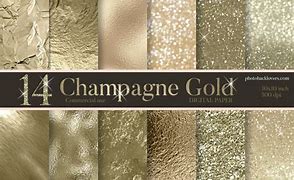 Image result for Champagne vs Gold