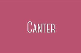 Image result for Canter Horse Animation