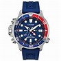 Image result for Titanium Automatic Dive Watches for Men