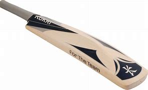 Image result for Cricket Bat and Ball Images Download
