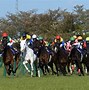 Image result for Japan Horse Racing