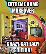 Image result for Crazy Cat Lady House