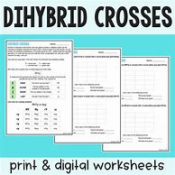 Image result for Dihybrid Cross Worksheet Answer Sheet
