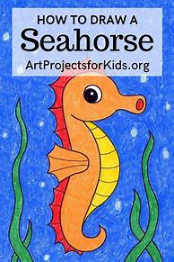Image result for Seahorse Drawing for Kids