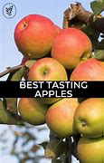 Image result for Best Tasting Apple's