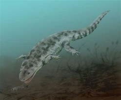 Image result for Iratusaurus