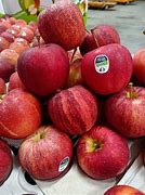 Image result for A Grade Apple Indian