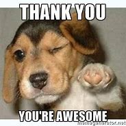 Image result for Pretty Thank You Meme