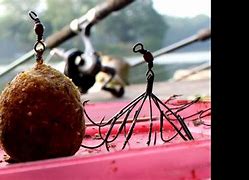 Image result for Multi Hook Fishing Rigs