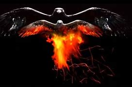 Image result for From the Ashes We Rise