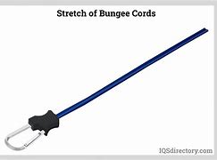 Image result for Bungee Cords Made Of