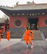 Image result for List of Shaolin Kung Fu Styles