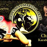 Image result for Phantom Brazilian Jiu Jitsu Maple Valley