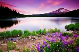 Image result for 3D HD Nature