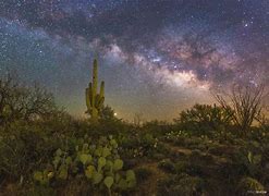 Image result for Night Sky Arizona Desert