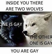 Image result for 2 Wolves Meme