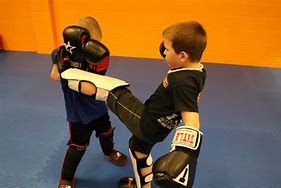 Image result for Toddlers Kick Boxing