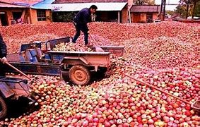 Image result for Apple Juice Factory