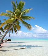 Image result for Tahiti Beach Pics
