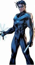 Image result for Anatomy of First Robin Nightwing