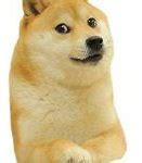 Image result for Doge Meme 1080X1080