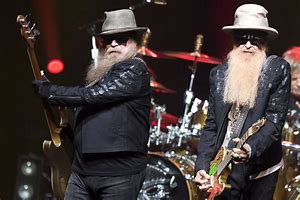 Image result for ZZ Top Beard