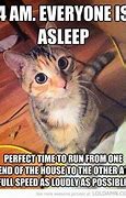 Image result for Funny Cat Meme PFP