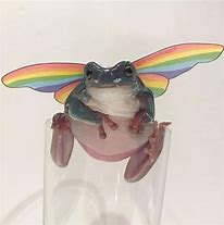 Image result for Aesthetic Grunge Frog