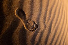 Image result for 20000 Year Old Footprint Found in Australia