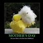 Image result for Sarcastic Mother's Day Memes