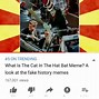 Image result for Cat in the Hat Baseball Bat Meme
